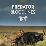 Predator Bloodlines 2021