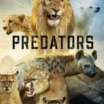 Predators Hindi Dubbed