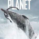 Prehistoric Planet S02 Poster