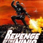 Revenge of the Ninja