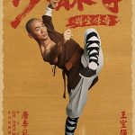 Rising Shaolin The Protector poster