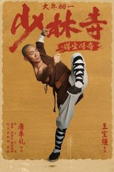 Rising Shaolin The Protector poster
