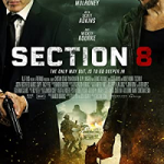Section 8