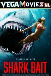 Shark Bait