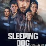 Sleeping Dog
