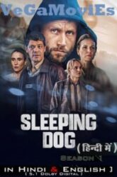 Sleeping Dog