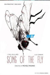 Song of the fly