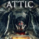 Spider In The Attic 2021