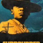 Surrounded Poster