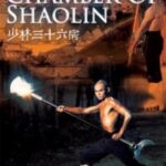 The 36th Chamber of Shaolin