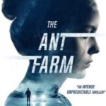 The Ant Farm 2022
