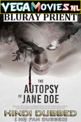 The Autopsy of Jane Doe 2016 Hindi