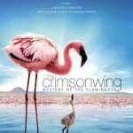 The Crimson Wing Mystery of the Flamingos