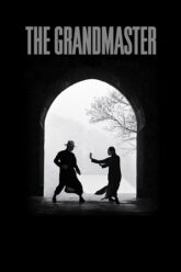 The Grandmaster 2013 Dual Audio Vegamoviues