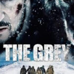 The Grey 2011 vegamovies poster
