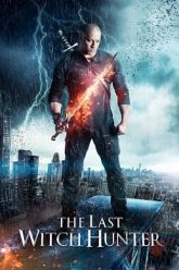 The Last Witch Hunter 2015
