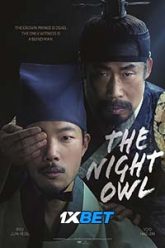 The Night Owl