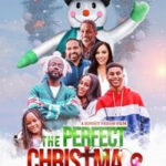 The Perfect Christmas