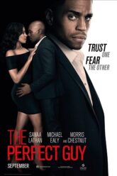 The Perfect Guy Hindi Dubbed