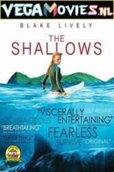 The Shallows 2016 720p HEVC BluRay