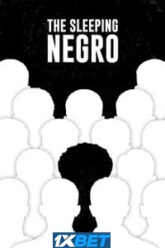 The Sleeping Negro
