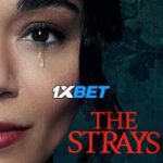 The Strays