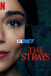 The Strays