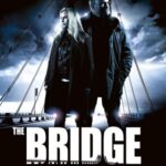 The bridge season 1 2 3 4 Hindi