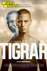 Tigers