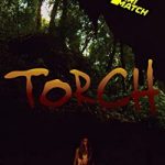 Torch