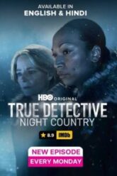 True Detective Season 1 – 4 Poster Vegamovies