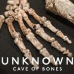 Unknown Cave of Bones
