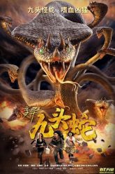 Variation Hydra 2020 poster