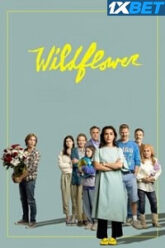 Wildflower