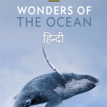 Wonders of the Ocean 2021