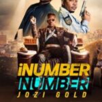 iNumber Number Jozi Gold